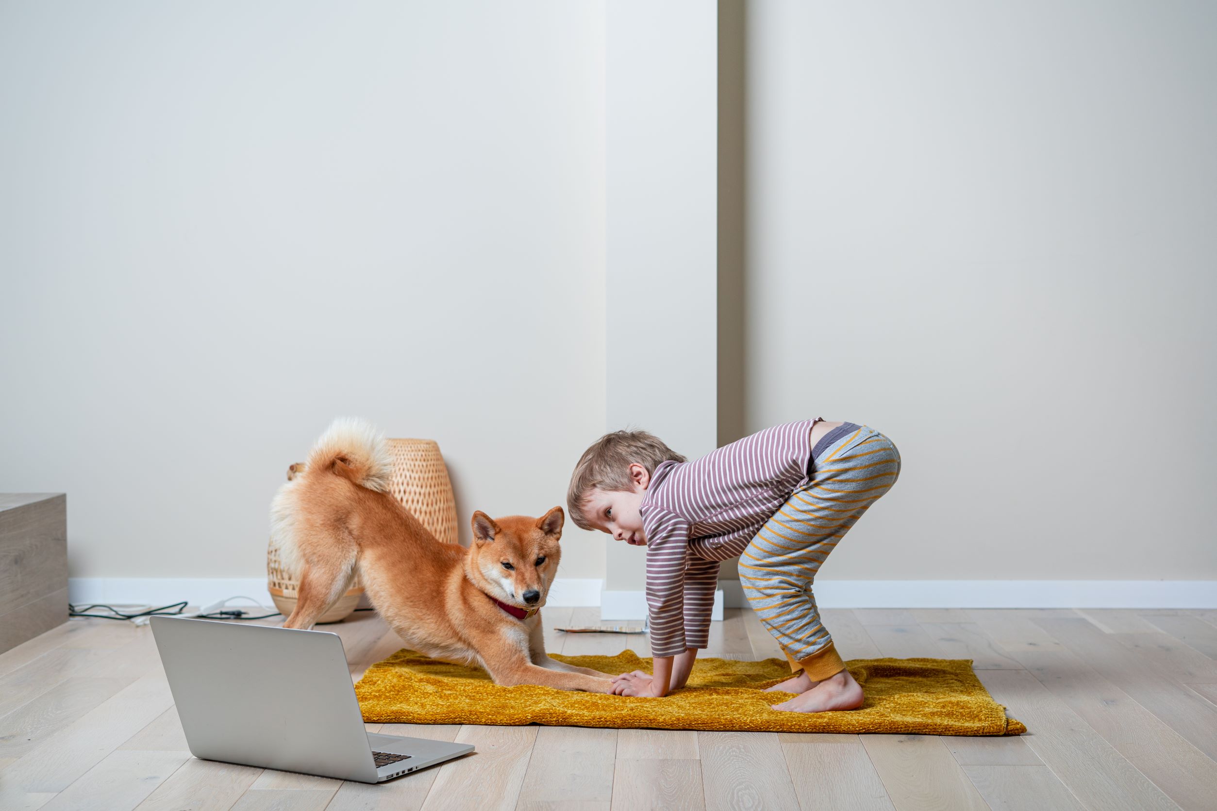 Dog and child doing yoga
