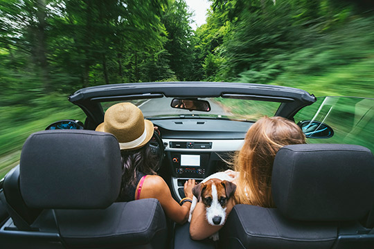 Vehicle Protection Services Happy Women Driving Convertible with Vehicle Protection Services