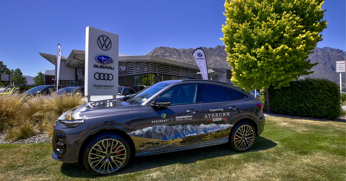 a car parked in a grassy area